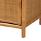 Bali & Pari Paloma Modern Bohemian Light Honey Rattan Large Storage Cabinet 242-13571-ZORO - alternate 2